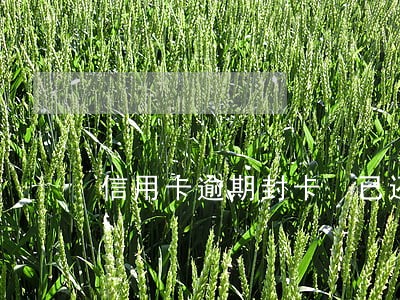 信用卡逾期封卡 已还清 信用卡逾期封卡 已还清